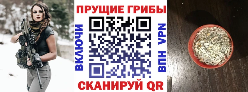 цены Микунь Галлюциногенные грибы MAGIC MUSHROOMS